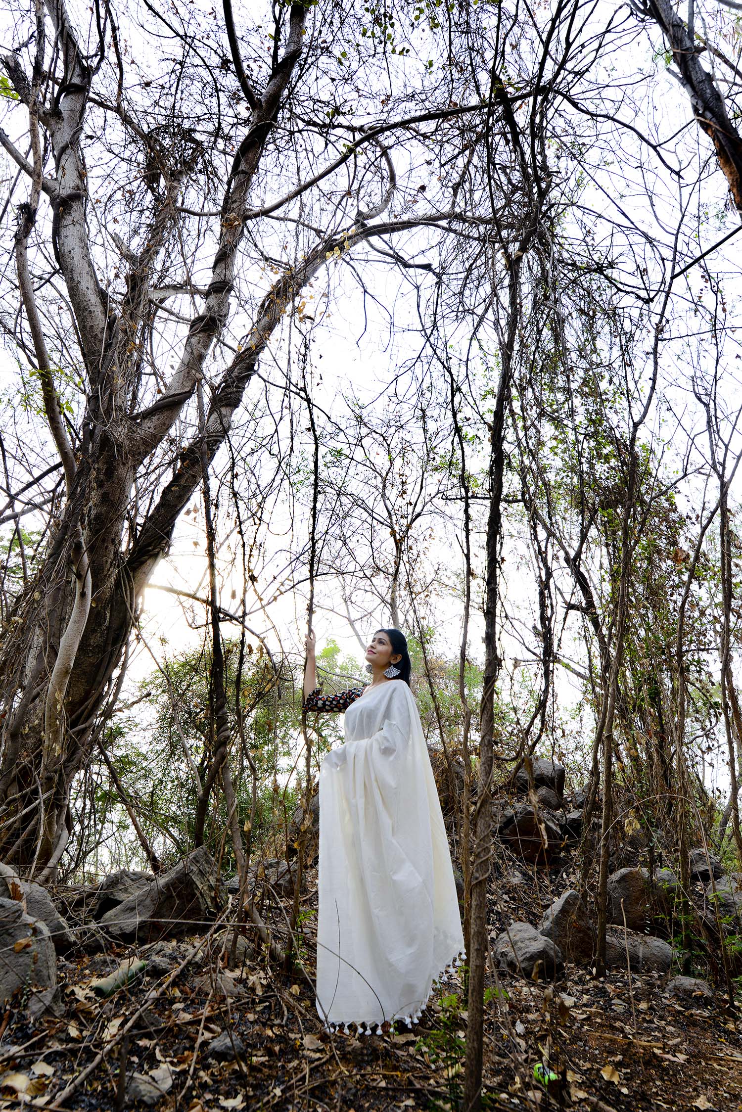 Off White (Ivory) Cotton Line Saree